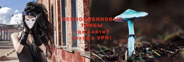 ПСИЛОЦИБИНОВЫЕ ГРИБЫ Алзамай