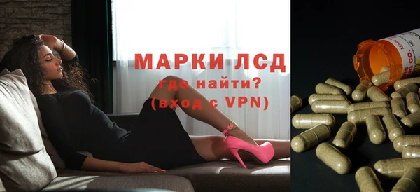 ПСИЛОЦИБИНОВЫЕ ГРИБЫ Алзамай