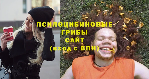 сатива Алексин