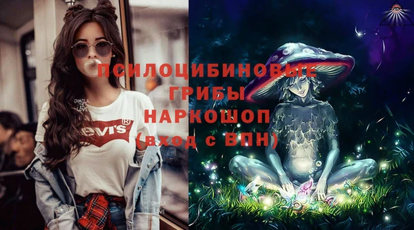 ПСИЛОЦИБИНОВЫЕ ГРИБЫ Алзамай