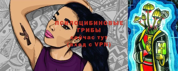 ПСИЛОЦИБИНОВЫЕ ГРИБЫ Алзамай